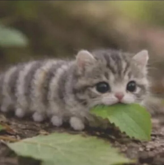annalynnvega